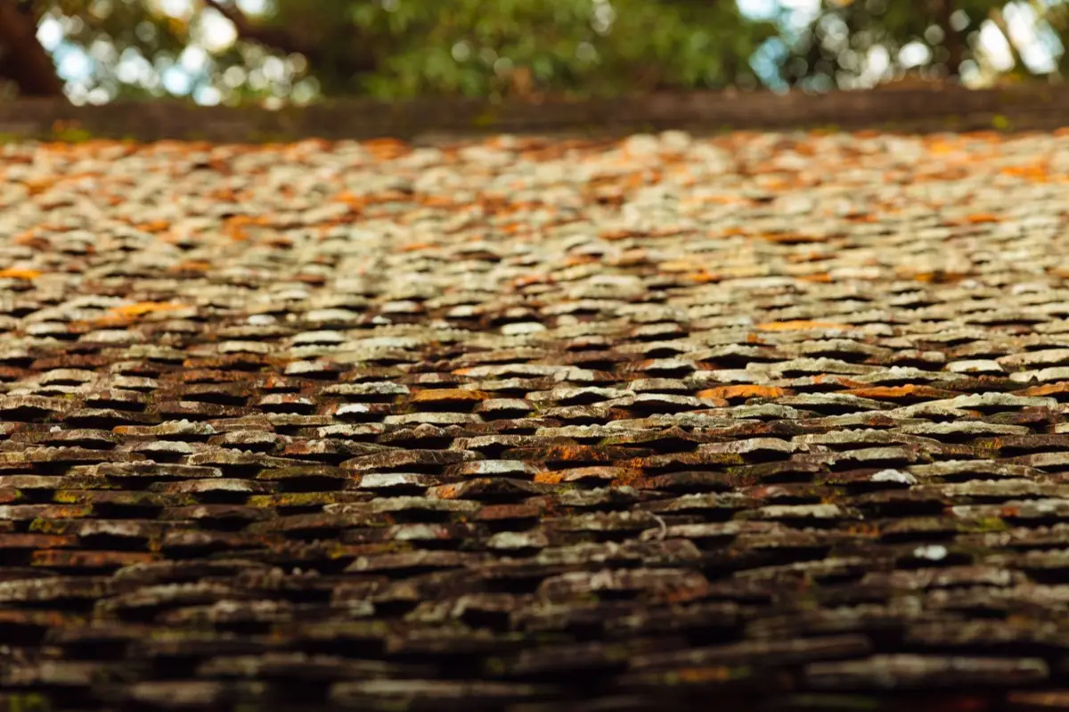 Attic & Roof Ventilation in Sterling Heights, MI